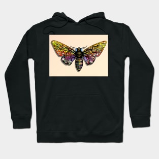 Death Head Moth Hoodie